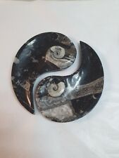 Pair polished goniatite for sale  SHEFFIELD