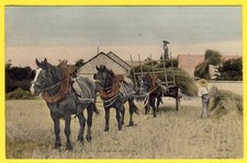 Cpa cachet sours d'occasion  Saint-Nazaire