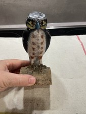 Schöne bemalte eule gebraucht kaufen  Markdorf