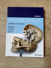 Prometheus lernpaket anatomie gebraucht kaufen  Baden-Baden