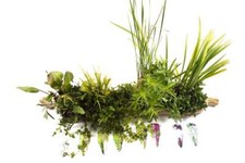 Plant hessian kit for sale  MARKET RASEN