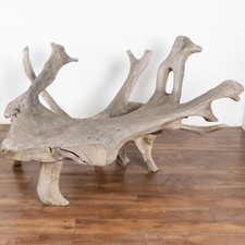 Large organic teak for sale  Round Top