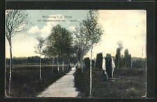 Tostedt birkenweg heide gebraucht kaufen  Berlin