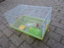 Gabbia per criceti usato  Pontey