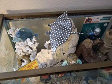 Fish & Aquariums for sale  Phoenix