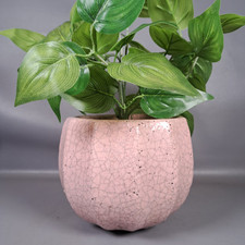 Anthropologie pink plant for sale  WAKEFIELD