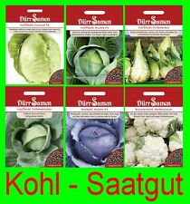 Weißkohl blumenkohl blaukohl gebraucht kaufen  Förderstedt