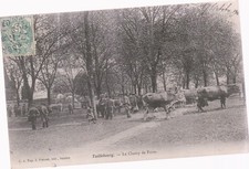 Taillebourg champ foire d'occasion  Ibos