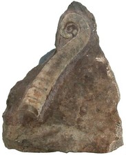 Rdovizium lituites lituus gebraucht kaufen  Erlangen