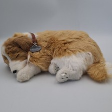 Perfect petzzz collie for sale  Katy