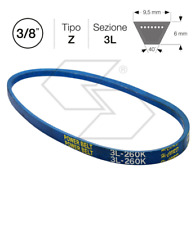 77167 cinghia per usato  Bisignano
