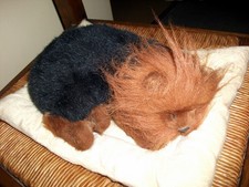Peluche chiot yorkshire d'occasion  Angoulême