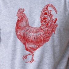 Red rooster chicken for sale  Sarasota