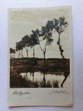 Alte naturfotografie schilfgra gebraucht kaufen  Neu-Ulm