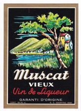 Courtrai muscat vieux d'occasion  Expédié en Belgium