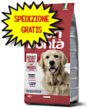 Gran bonta dog usato  San Felice Circeo