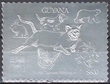 Guyana 1992 cane usato  Trambileno