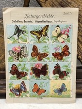 German natural history for sale  Yelm