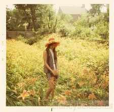 day lillies for sale day lillies for sale Eugene