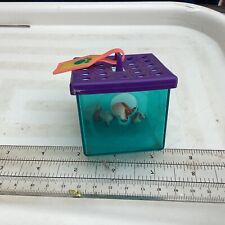 guinea pigs 2 for sale guinea pigs 2 for sale BRIGHTON