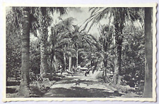 Cartão postal Antonio Borges Garden St. Michael's Azores São Miguel DB 2890, usado comprar usado  Enviando para Brazil