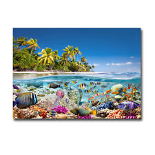 Underwater life pangea for sale  Escondido
