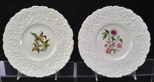 Pair royal cauldon for sale  Brattleboro