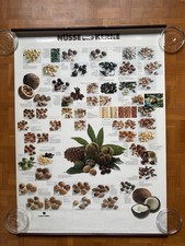 teubner edition gebraucht kaufen teubner edition gebraucht kaufen Passau