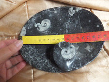 Fossil stone decorative for sale  CONGLETON