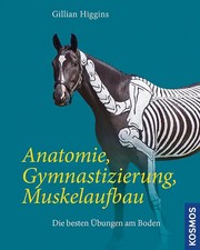 Anatomie gymnastizierung muske gebraucht kaufen Anatomie gymnastizierung muske gebraucht kaufen  Berlin