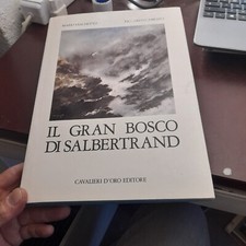 Gran bosco salbertrand usato  Torino