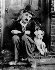 Charlie chaplin pet for sale  USA