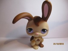 Petshop lapin garenne d'occasion  Bailleul