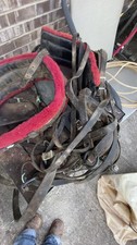 Saddle work horses for sale  Friendship