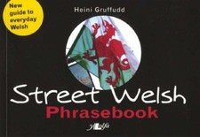 Street welsh phrasebook for sale  ROSSENDALE