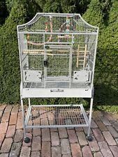 Extra large parrot for sale  Wellington