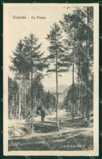 Bergamo clusone pineta usato  Gambolo