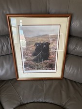 Beautiful ltd edition for sale  NUNEATON