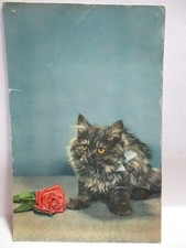 1955 italy postcard for sale  Johnstown