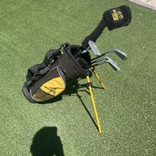 Golden bear cub for sale  Glendale
