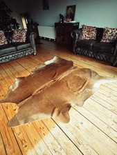 Natural brazilian cow for sale  PORTLAND