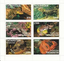 Tatarstan fauna snakes usato  Bari