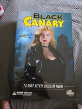 Direct black canary d'occasion  Expédié en Belgium