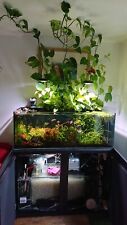 4ft 2ft 2ft for sale  ANNAN