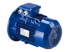Motor elétrico assíncrono trifásico de alumínio Elvem velocidade única T90L1-4 6T3 comprar usado  Enviando para Brazil
