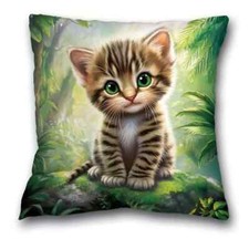 Kissenbezug kissenhülle katze gebraucht kaufen  Kröpelin