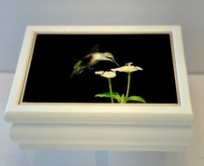hummingbird music box for sale hummingbird music box for sale Sewell