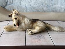 Steiff collie alter gebraucht kaufen  München