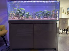 210l full aquarium for sale  DERBY