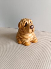 Thun cane sharpei usato  Santa Maria Capua Vetere